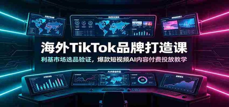 海外TikTok品牌打造课：利基市场选品验证，爆款短视频AI内容付费投放教学-湘创网