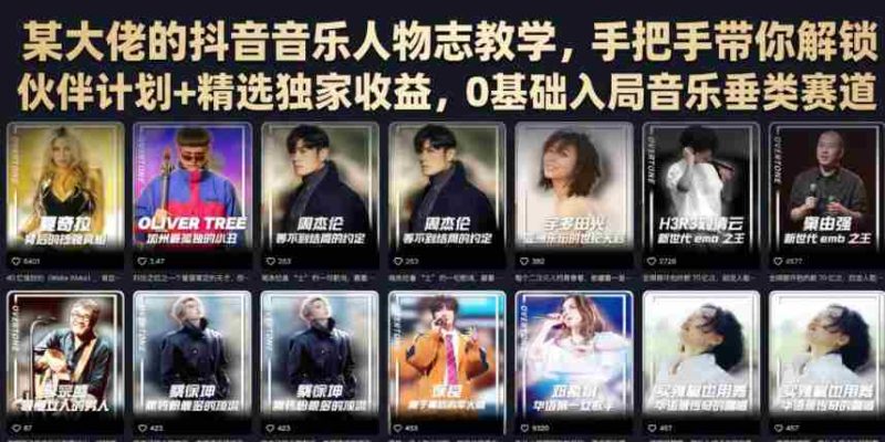 某大佬的抖音音乐人物志教学,手把手带你解锁伙伴计划+精选独家收益,0基础入局音乐垂类赛道-湘创网