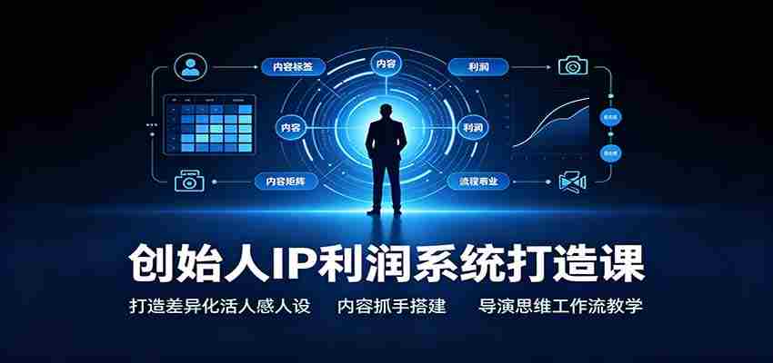 创始人IP利润系统打造课：打造差异化活人感人设，内容抓手搭建，导演思维工作流教学-湘创网