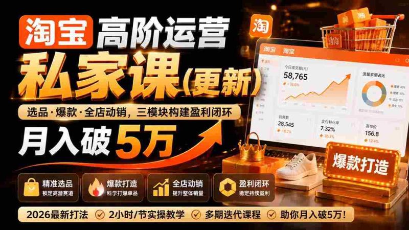 （19726期）淘宝高阶运营私家课（更新26年）：选品、爆款、全店动销，三模块构建盈利闭环，月入破5万-湘创网