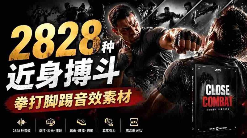 (19072期)宝藏级别音效!2828种近身搏斗拳打脚踢音效素材,全部中文分类,免解压使用 Close Combat-湘创网