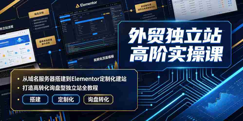 外贸独立站高阶实操课|从域名服务器搭建到Elementor定制化建站,打造高转化询盘型独立站全教程