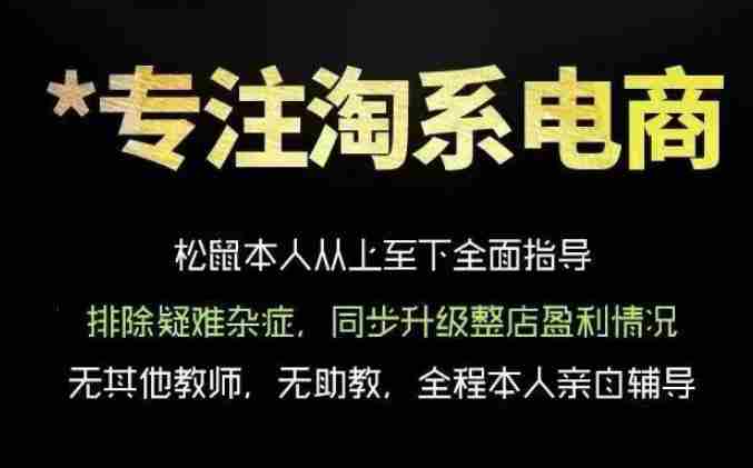 松鼠会电商VIP课程,从基础布局到高阶优化,助你掌握淘宝运营逻辑,提升店铺流量与转化(更新0809)-湘创网