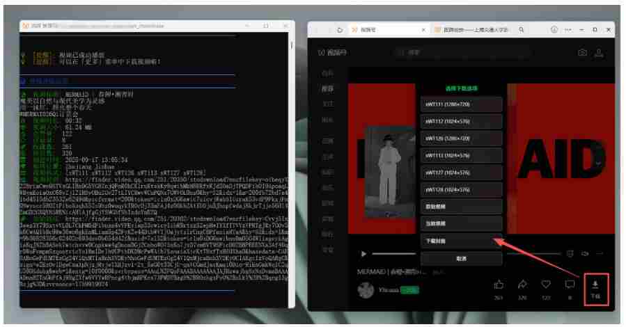 Github热门工具,视频号下载神器又来了!一键注入下载按钮,轻松下载,使用便捷wx_channel