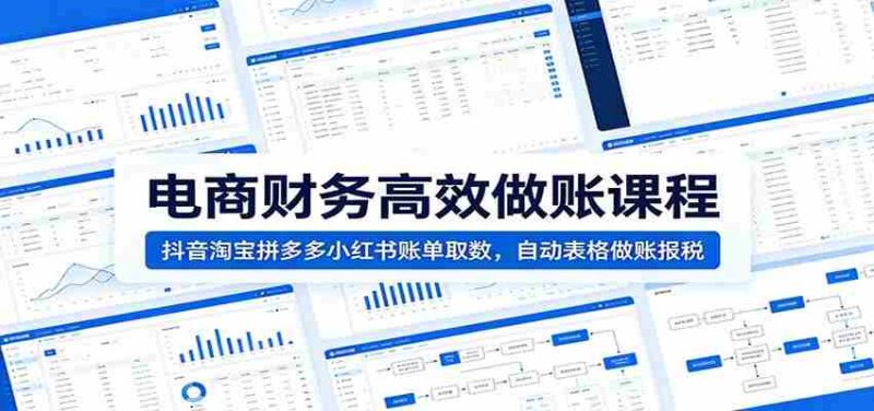电商财务高效做账课程:抖音淘宝拼多多小红书账单取数,自动表格做账报税-湘创网