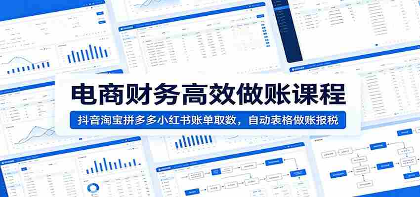 电商财务高效做账课程：抖音淘宝拼多多小红书账单取数，自动表格做账报税-湘创网