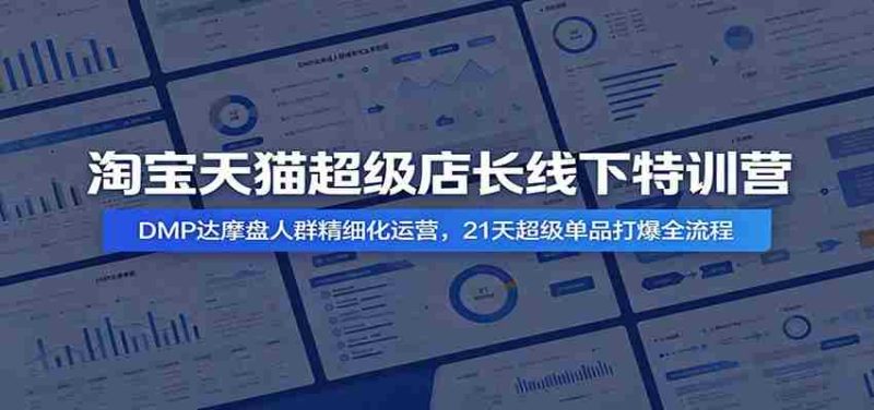 淘宝天猫超级店长线下特训营:DMP达摩盘人群精细化运营,21天超级单品打爆全流程-湘创网