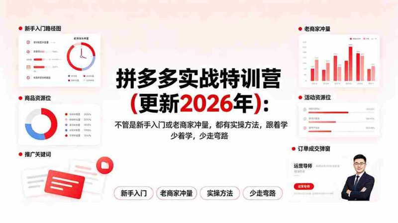 （19724期）拼多多实战特训营(更新2026年)：不管是新手入门或老商家冲量，都有实操方法，跟着学，少走弯路-湘创网