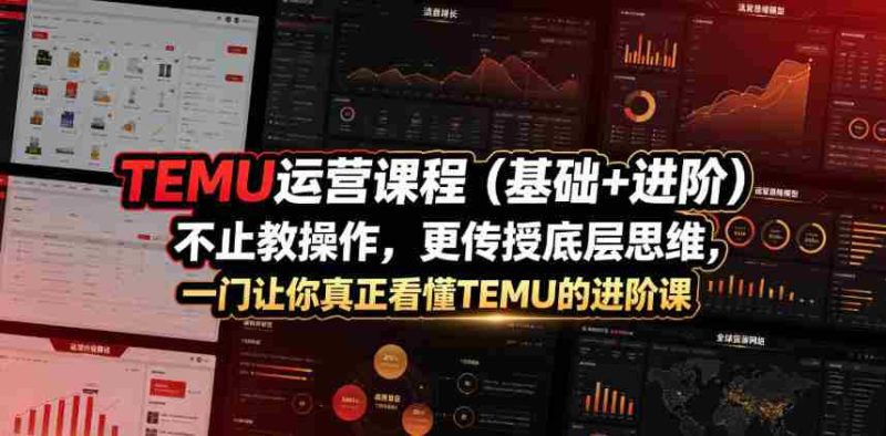 TEMU运营课程(基础+进阶),不止教操作,更传授底层思维,一门让你真正看懂TEMU的进阶课-湘创网