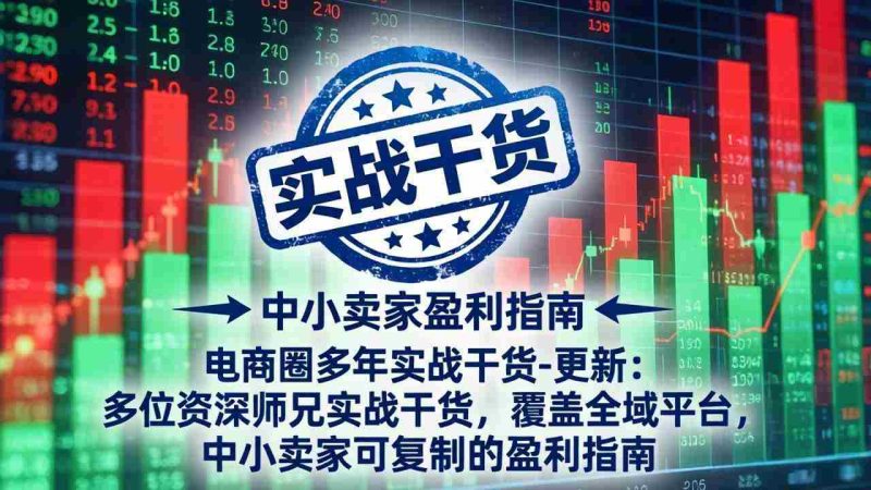(19761期)电商圈多年实战干货-更新2026:多位资深师兄实战干货/覆盖全域平台,中小卖家可复制的盈利指南-湘创网