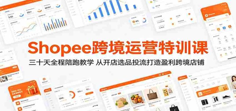 Shopee跨境运营特训课:三十天全程陪跑教学,从开店选品投流打造盈利跨境店铺-湘创网