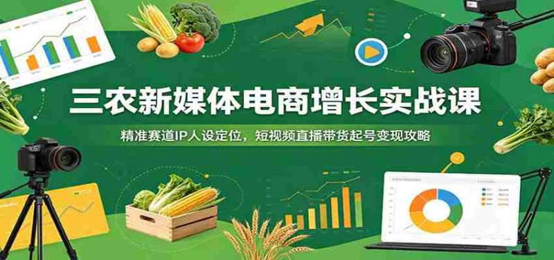三农新媒体电商增长实战课:精准赛道IP人设定位,短视频直播带货起号变现攻略-湘创网