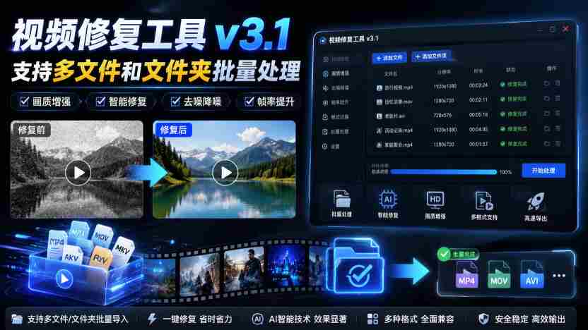视频修复工具v3.1,支持多文件和文件夹批量处理
