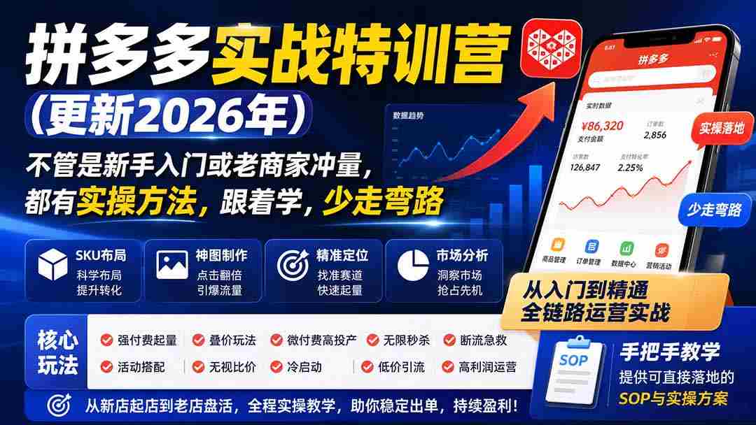 （19842期）拼多多实战特训营(更新2026年)：不管是新手入门或老商家冲量，都有实操方法，跟着学，少走弯路-湘创网