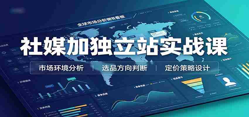 社媒加独立站实战课：市场环境选品定价，社媒运营建站，私域网红营销教学-湘创网