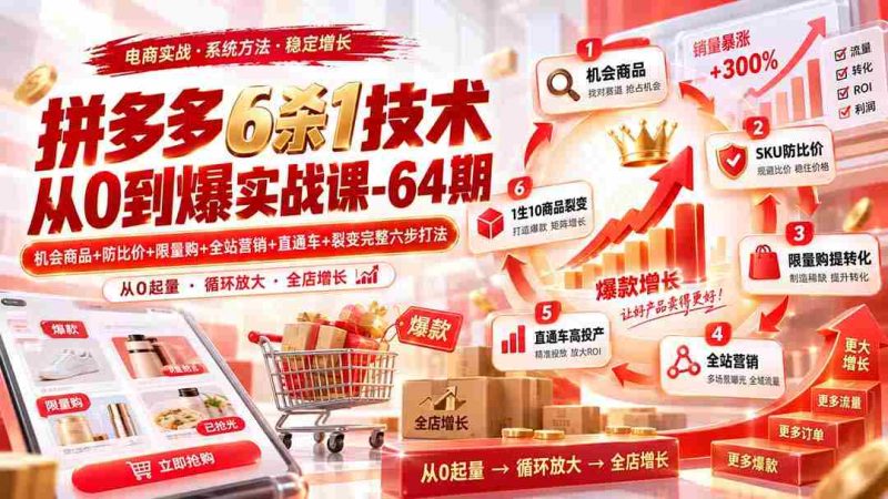 （20316期）拼多多6杀1技术从0到爆实战课-64期：机会商品+防比价+限量购+全站营销+直通车+裂变完整六步打法-湘创网